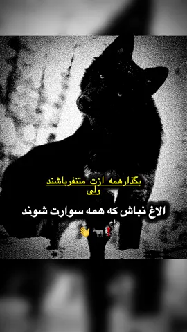 #فالــو #كنيد رفقــــا۰۰۰💁‍♂️💙🙃« #سفارشی _کلیپ _دایرکت#                                 🔝⬇️🔝⬇️🔝⬇️🔝⬇️🔝⬇️             👉@rostam552 نامرد #گرگ #سنگین #غم #جوكر #حيات #حيات_وحش #سياه_سفيد#رفاقت #روزگار #رفیق_قدیمی #ی #ماشینباز #موتورسواری #غمگینم #رفاقت #روزگار #رفیق_قدیمی #حیات_وحش #طبيعت #ساز #رفيق #لات #لاتی #گرگ#                          •••••••••••••••••••                                                       <•تخاری وااااااال•>