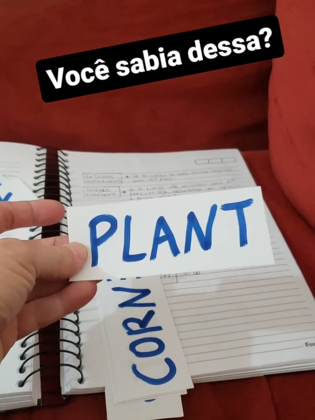 Pré-lançamento do curso A LÓGICA DA PRONÚNCIA EM INGLÊS. Para participar, acesse o link no perfil. #inglêsnotiktok #aprenderingles #auladeingles #inglesonline #cursodeingles #fy #fyp