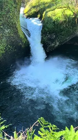 Punchbowl falls, located on the Eagle Creek trail in the beautiful Columbia River Gorge. #waterfall #waterfallwednesday #eaglecreek #hike #Hiking #columbiarivergorge #punchbowlfalls #oregon 