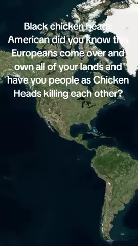 Black chicken heads American did you know this Europeans come over and own all of your lands and have you people as Chicken Heads killing each other?