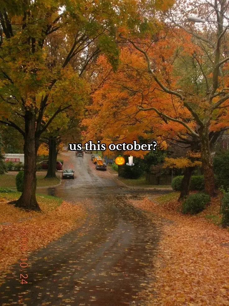 only 3 months 🧡🤎 | #fall #fall2024 #fallgirl #fallaesthetic #fallfashion #fallstyle #fallclothes #fallgirlaesthetic #fallfood #falldecor #autumn #autumnfashion #autumnvibes #autumnaesthetic #downtowngirl #downtowngirlfall #gilmoregirls #halloweentown #pinterestaesthetic #pinterestmoodboard #moodboard #fallmoodboard (my pinterest is in my bio)
