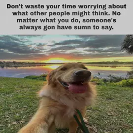 Too many people waste their time caught up in what other people might think of them. No matter what you do, good or bad, there will always be people with something negative to say. Free your mind of the stress and live how you want to. #senulegend #foryou #hopecore #corecore #smilecore #fyp #viral #fypviral #fypシ゚ #hope #foryoupage #happycore #positive #hopecoretiktok 