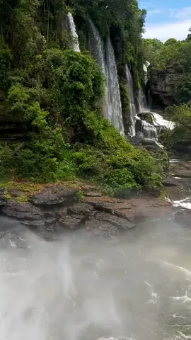 acompañanos a disfrutar de una de las cascadas más bonitas de Colombia. info: 3208398222 #naturaleza #colombia🇨🇴 #agua #nature #cañocanoas #travel #aventura 