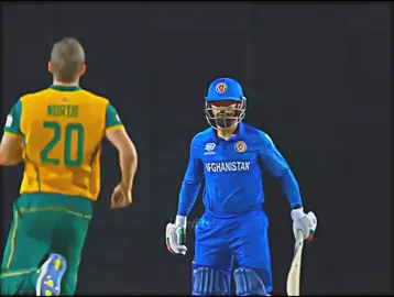 Rashid vs Nokia Fight ...🖇🔥 #cricket #1millionaudition #afghanistan🇦🇫 #imrandanish #viralvideo #like #foryou #unfreezemyacount #@Rahmanullah 21 
