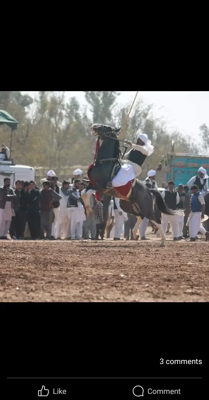 Sab friends Mary Uk Kay account ko follow kro please account mention hy @گھوڑے شوق نوابی 🐎🐎 nazabazilover 🐎🐎🐎#nazabazi__nawabi_shok😎😎 #horse #nawabishoq🦅🔥 #viral#tentpeggging🐎 #wahghorawah🐎 #گھوڑےشوق۔نواباں۔دا 