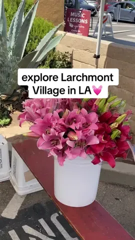 the cutest area for coffee, brunch, shopping, or something sweet💓 #laactivities #larchmont #larchmontvillage #thingstodoinla 