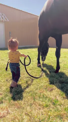 Getting sentimental looking back at old videos. Mayzee was so tiny 🥹🥹 #fyp #viral #barnlife #barnlifeisthebestlife #horses #toddler #toddlersoftiktok #transition 