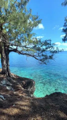 Sjahrir Island Banda Neira Maluku #bandaneira #anakpulau #JelajahLiburan #divemasterlifestyle #nyongtimur #maluku #explroe #fyppppppppppppppppppppppp 