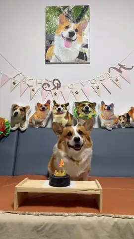 Happy birthday#dog #puppy #funny #dogsoftiktok #fyp 