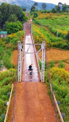 cầu treo Chư Păh #chupah #gialai #cautreo 