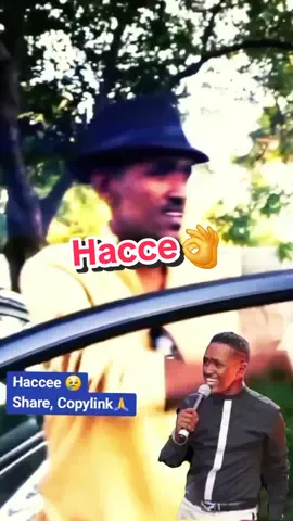 #hachaluweek#hachaluhundessa 
