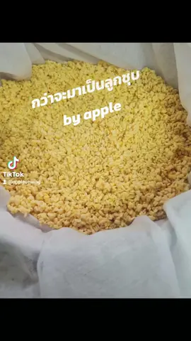 กว่าจะมาเป็นลูกชุบ #TikTokกินเที่ยว #fyp #แอปเปิ้ลการปัก #CapCut #ลูกชุบ #ติดตามมาติดตามกลับ 