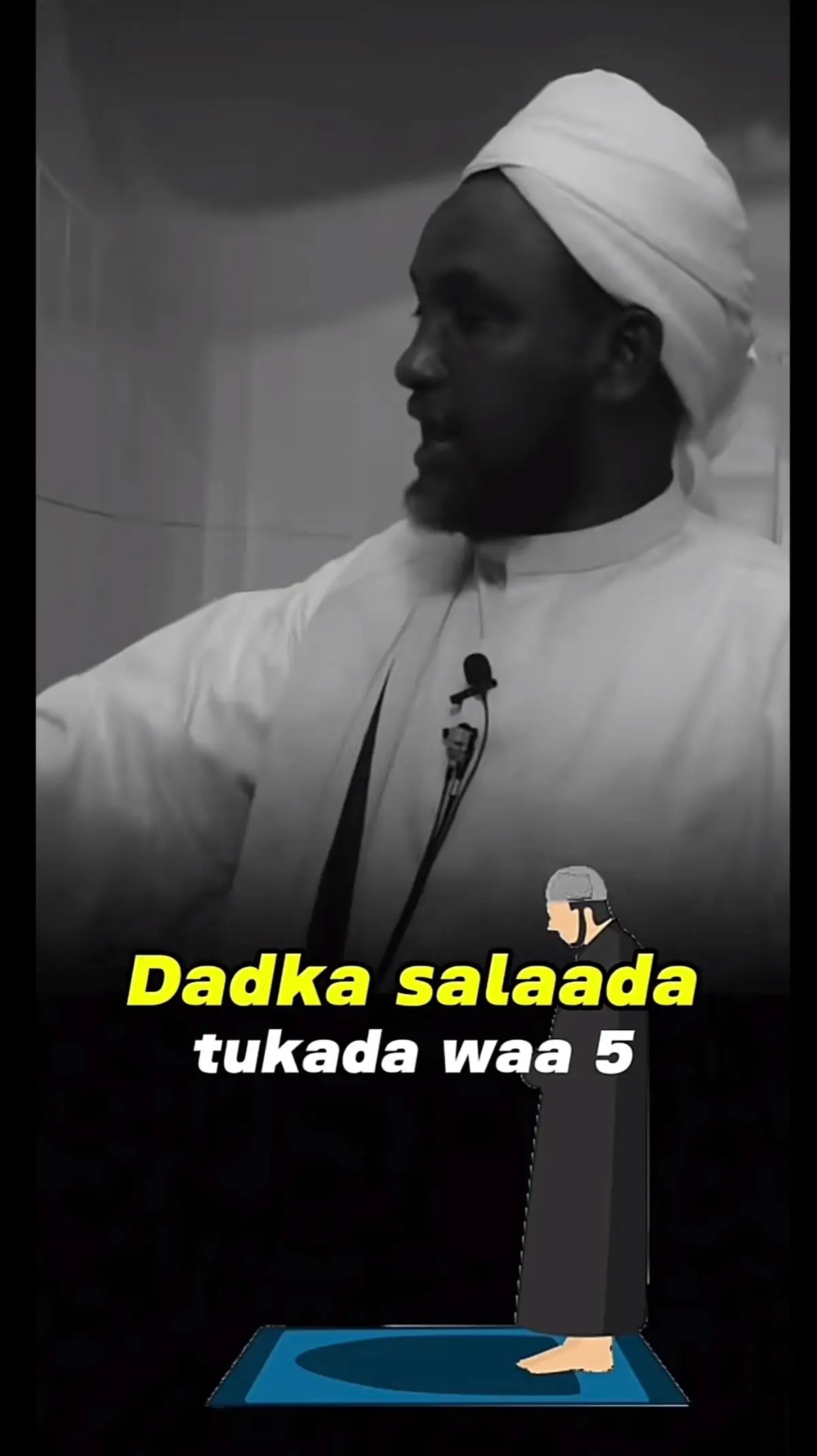 Qaybaba salada alle ha inaga dhigo kuwa alle ka aqbalo gadhsii walalka wa intas o hanun alle uga dhigaye shekhi xusen ali Alle ha cafiyo aan u ducayno shekhia @capitano Rudwaan hariir🇺🇲 @B🦋 @King Liban Xulle 