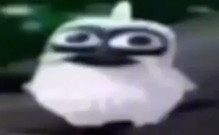 screaming bird meme