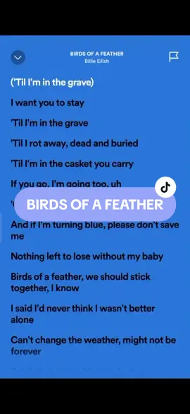 BIRDS OF A FEATHER🎶 #billieeilish #lyrics #spotify #kantakamuna🎤🎶 #oooooomerr #fyp 