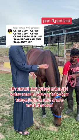 Replying to @CEO WY hahaha sabak bang#breeding #purearabian #apallosa #fypシ゚viral #fyppppppppppppppppppppppp #mawari #fyp #arabianhorse #horse #kudaviral #kudakelantan #premiumhorse 