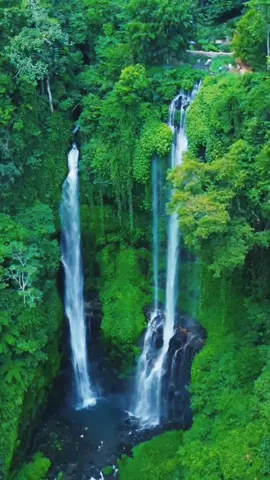 O Poder Relaxante das Cachoeiras #naturelover #relaxing #tiktok #paz #calma #paz #lugar #relax #paisagem #pazmental #paisajes #naturezaperfeita #travel #natureza 