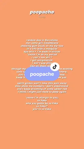 poopache🎶 by: RAAD  @imsoraad_  #lyrics #spotify #kantakamuna🎤🎶 #oooooomerr #fyp 