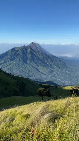 bener kata baskara, kalo udah punya yang indah jangan cari keindahan di orang lain, nanti kamu akan kehilangan keduanya. #merbabuviasuwanting #merbabumountain #merbabu3142mdpl #merbabu #xybca #fyp 