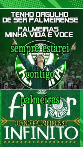 #CapCut #palmeiras #futebolbrasileiro #abelferreira #Brasileirão #futebolviral 
