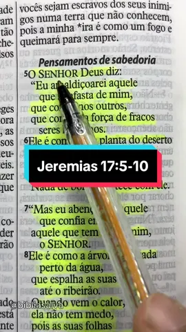 Jeremias 17:5-10 🙌🤍 #proverbios #versiculo #biblia #fe #salmos #deus #jesus #palavradedeus #viral #versiculosbiblicos #cristão #versiculododia #versiculosdanoite 