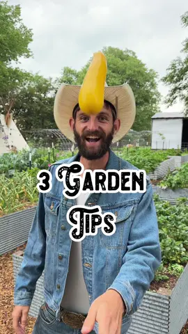 3 Quick Garden Tips 🥒 Cucumbers can actually lower your blood temperature. Interestingly enough the best time to harvest your cucumbers in the cooler morning time  🍈 Cantaloupes are a desert crop and as such it’s best to flood irrigate them with a few inches of water and then let them dry out for 2 weeks between watering. Stop watering a few weeks before harvest for sweeter fruit!  ☀️ For a sweeter celery stalk you’ll want to blanch your plant as it grows. By reducing the sunlight you’ll decrease the bitterness of the stalk!  #celery #cucumber #canteloupe #melon #garden #gardening #tip #tips #fact #facts #funfact #helpful #101 #plant #plants #growing #homestead #homesteading #green #hack #planting #gardener #backyardgarden #farm #farmer #food #Foodie #foodblogger #shilohfarm #gardentok #farmtok #FoodTok #foodie 