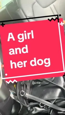Shes happy just holding that leash.  Hes happy just being in the car 🤣 #wherecraigat #BestFriends #babydoggy #toddler #toddlersoftiktok #momlife #MomsofTikTok #mom #momtok #fyppppppppppppppppppppppp #fy #fypシ゚viral #fypage #foryou #foryoupage #agirlandherdog 