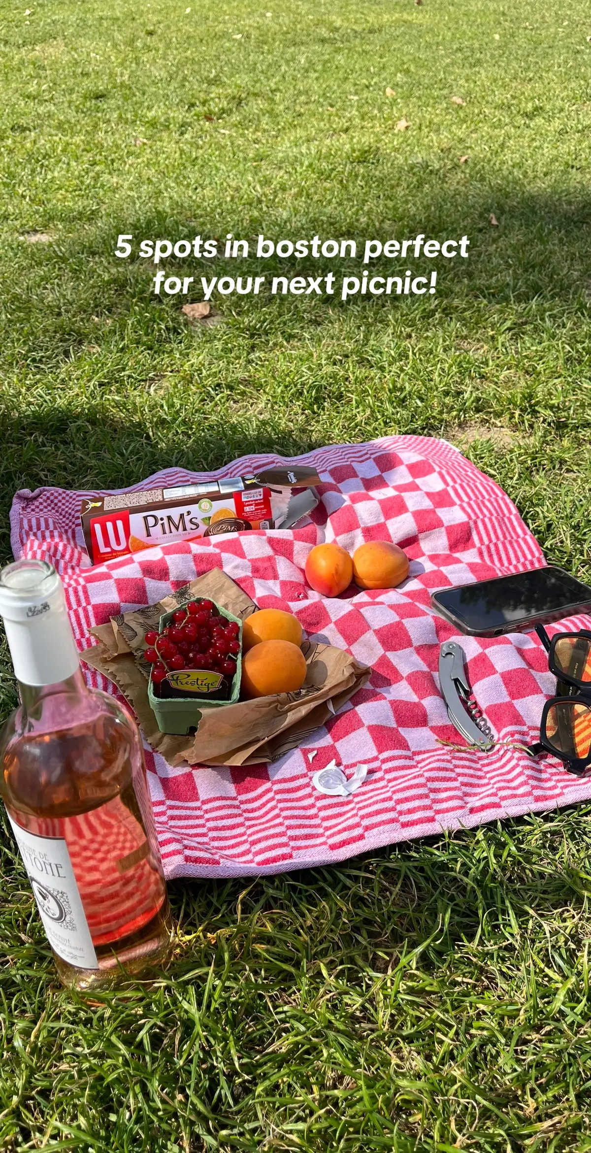 #bostontiktok #boston #bostonpublicgarden #picnicboston #bostondatenight #charlesriver #charlesriveresplanade #pierspark #eastboston #seaportboston #seaport #fanpierpark 