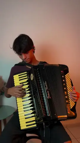 #mirrors #justintimberlake #sanfona #acordeon #accordion #nordeste #brasil 