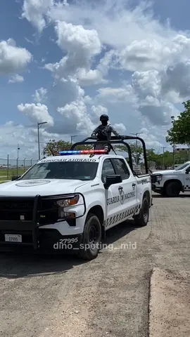 PURO PORTE DE LA GN 🫡📸🚔#ambulanciasyemergencias #yucatanmexico #emergencymxyucatan #police #meridayucatanmexico #servireproteger #911 #guardianacional #sedenamx #guardianacional 