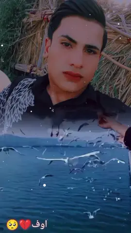 #CapCut 