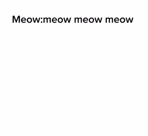 #meow #meow #meow 😹