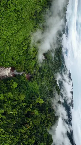 Tahu kah kalian ? Jauh di pedalaman hutan kalimantan  ! menyimpan begitu banyak keindahan & keajaiban  hutan yang terpelihara. Hijau rimbun tanahnya selaras dengan sejuknya udara alamnya. Dengan ini ku persembahkan  TANAH KAREHO #alam #hutan #kalimantan #kalbar #kalimantanbarat #alamindonesia #indonesia #indonesia🇮🇩 #borneo #kapuashulu #putussibau #kareho @infoputussibau 