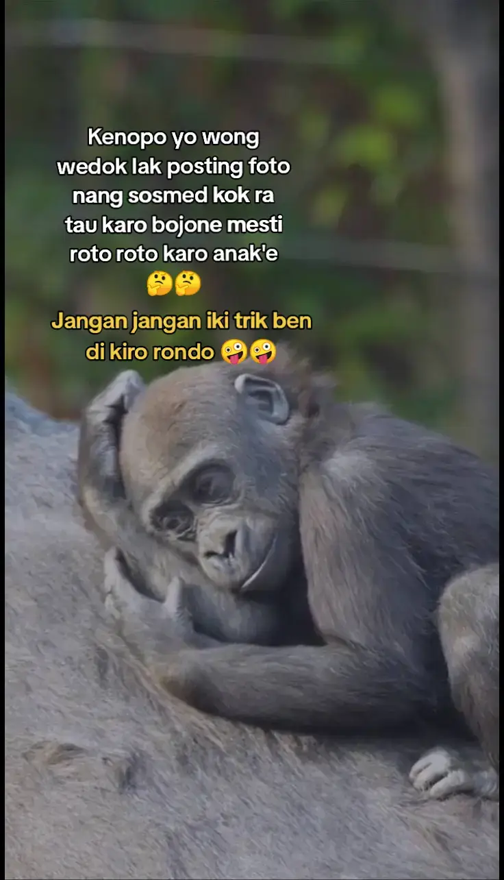 menyala Rondo kuuuu 🔥🔥🤪🤪#fypシ゚viral #fypシ゚ #sadstory #sadjowopride #guyonanjowo #masukberandafyp 