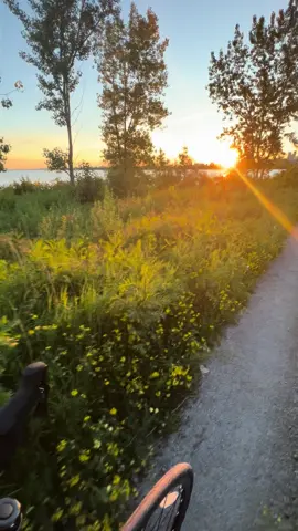 Forever the highlight of my days 🚴‍♀️ #cyclinglife #cycle #womenwhocycle #sunset #toronto #lake 