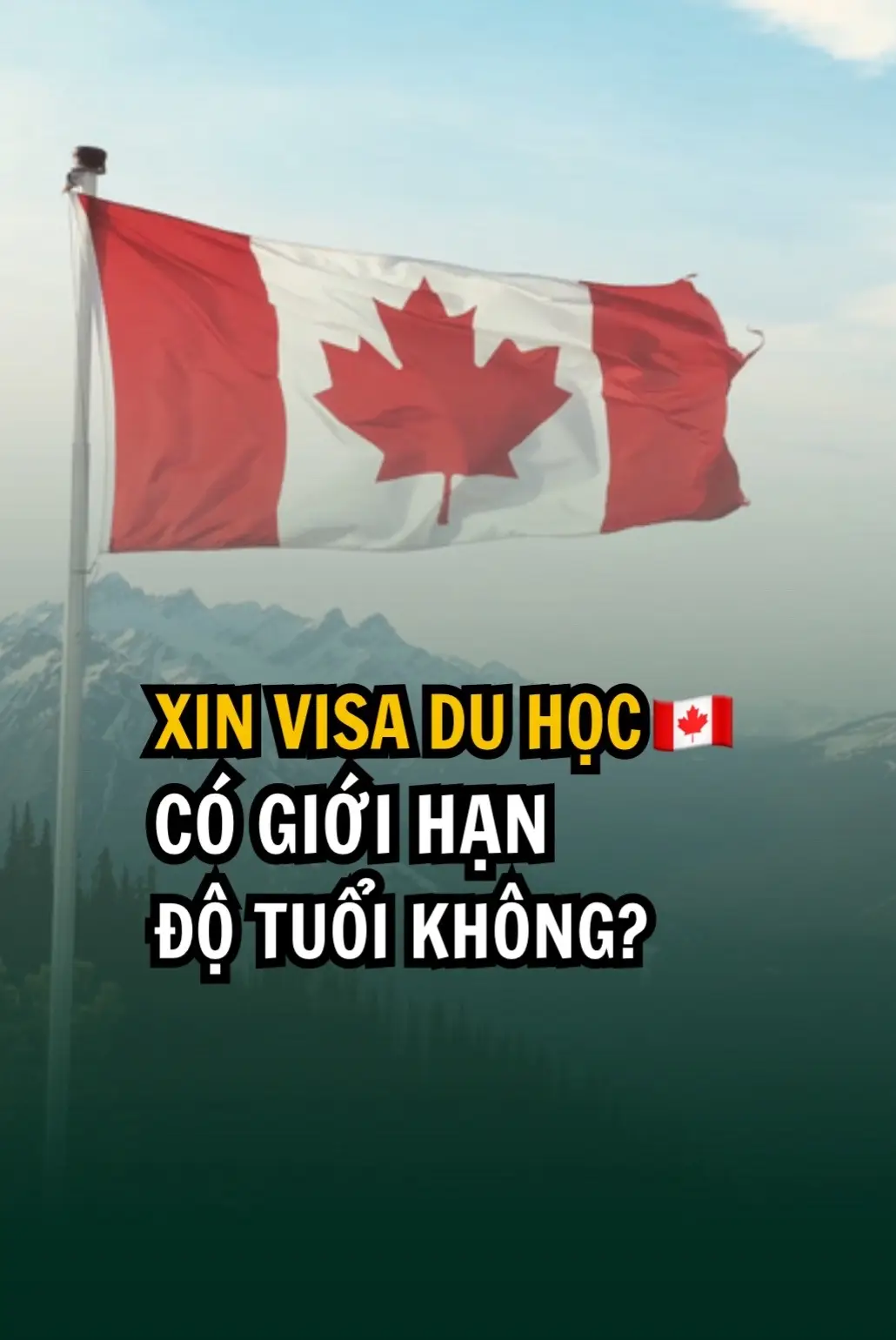 #duhoccanada #dinhcucanada #canada #fpy 