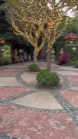 I can’t stop thinking about the @houdiniestate. One of the most enchanting properties on the planet. A lush 5 acre oasis full of mystery tucked away in Laurel Canyon filled with L.A. history and Hollywood history. The grounds are astonishing and the spirit of magic and Houdini is prevalent throughout. 🪞🎩 🔮 🪄🃏  #VintageLosAngeles #HarryHoudini #LaurelCanyon #HoudiniEstate #EpicProperty #LAHistory #history #losangeles #architecture 
