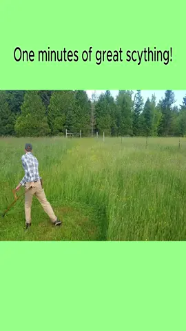 One Minutes Of Great Scything #scythe #lawnhand #mowin #scything #handtools