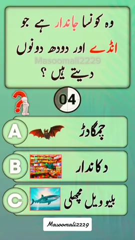 Genral knowledge🤔 #quiz #quiztime #quizgame #islamicquiz #urduquiz #mcqs #information #knowledge #islamic #iq #braintest #iqtest #viral #foryou #fyp #viralvideo #foryoupage 