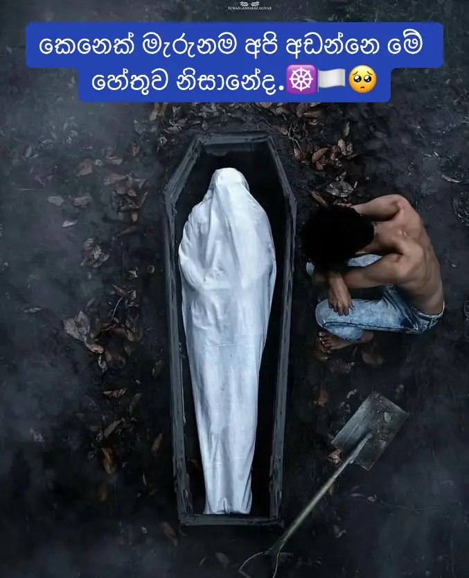 #ධර්මදානයක්_වේවා #පිං_කරමු🌼✍️_ #සාදු🌸🙏සාදු🌸🙏සාදු🌸🙏 #බුදුරජාණන්_වහන්සේ #නමෝ_බුද්ධාය #බුදුසරණයි #fypシ゚viral #load_budhdha #CapCut #1millionaudition #viralvideo #buddha #තෙරුවන්_සරණයි 