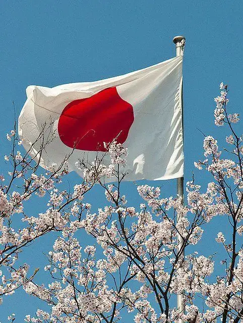 ဒီနေ့မှာတော့ Sakura ပန်းပင်တွေ အလှည့်ပေါ့။  အားလုံးသိပြီးသလို အများစုက ဂျပန်နိုင်ငံကို ဆာကူရာမြေလို့ ပြောကြတယ်လေ။ Sakuraဆိုတာက ချယ်ရီပန်းပင်လို့ အဓိပ္ပါယ်ရပြီးတော့ ဂျပန်နိုင်ငံရဲ့ တရားဝင်အသိအမှတ်ပြုခြင်းမခံရတဲ့ ဂျပန်နိုင်ငံ ကိုယ်စားပြုပန်းဖြစ်ပါတယ်။ သူ့ရဲ့ အပွင့်က ပန်းရောင်ဖျော့ဖျော့လေး ရှိပြီးတော့ နွေဦးရာသီမှာ ပွင့်ပါတယ်။ ဒါပေမယ့် အကြာကြီး မပွင့်ပါဘူးတဲ့။ တစ်ခါပွင့်ရင် တစ်ပတ် သို့မဟုတ် နှစ်ပတ်ပဲ ကြာလေ့ရှိပါတယ်။ အသီးမသီးတဲ့ ချယ်ရီပင် အမျိုးအစားဖြစ်ပြီးတော့ ဂျပန်နိုင်ငံရဲ့ ထင်ရှားတဲ့ ပန်းတစ်မျိုးလဲ ဖြစ်ပါတယ်တဲ့။ ဆာကူရာပန်းပွင့်တွေဟာ ရှင်သန်ခြင်းနဲ့ သေဆုံးခြင်း ၊ လှပခြင်းနဲ့ ကြမ်းတမ်းခြင်း စတဲ့ အဓိပ္ပါယ်တွေကို ဖော်ပြနေပါတယ်။ ဆာကူရာပန်းတွေဟာ လှလှပပနဲ့ မြန်မြန်ဆန်ဆန် ကြွေကျသလိုပဲ လူတွေဟာလည်း ဘဝကို တိုတောင်းတဲ့အချိန်အတွင်းမှာ အကျိုးရှိစွာ ဖြတ်သန်းရမယ်လို့ ယုံကြည်ကြပါတယ်တဲ့။ ကိုယ့်ရဲ့ ဘိုးဘေးတွေကို သတိရတဲ့အနေနဲ့ ဖော်ပြတဲ့ပန်းလဲ ဖြစ်ပါတယ်။ ဂျပန်ယဉ်ကျေးမှုအရ ဆာကူရာပန်းပင်တွေဟာ ကံကောင်းခြင်းနဲ့ မျှော်လင့်ချက်ကို ဖော်ပြပါတယ်။ ဆာကူရာပွင့်ဖတ်တွေက အသားအရေအတွက် ကောင်းတာမို့ အလှအပထုတ်ကုန်တွေ ထုတ်တဲ့နေရာမှာ နာမည်ကြီးပါတယ်။ အသားအရေကို နူးညံ့ပြီး ပန်းရောင်သန်းစေပါတယ်။ ပွင့်ချပ်တွေကို ရေနွေးကြမ်း ထုတ်တဲ့နေရာမှာလဲ အသုံးပြုပါတယ်။ ပန်းရဲ့ ရနံ့က ချိုမွှေးပြီးတော့ အရွက်ကိုတော့ နှပ်ပြီးတဲ့အချိန်မှာ မိုချီ(ဆန်ကိတ်) ပေါ်မှာ ပတ်ပြီး စားကြပါတယ်တဲ့။ ဆာကူရာတွေ ပွင့်တဲ့ နွေဦးမှာ ဂျပန်တွေဟာ ပန်းကြည့်တဲ့ပွဲတော် (hanami)ကျင်းပပြီးတော့ မိသားစု ပျော်ပွဲစားထွက်ကြပါတယ်။ ဆာကူရာပန်းတွေကို ကြည့်ပြီး ဓာတ်ပုံရိုက်ကြ၊ စားသောက်ကြ လုပ်ကြပေမယ့် ဆာကူရာပန်းပင်တွေအောက်မှာ မထိုင်ကြပါဘူး။ သဘာဝအလှပျက်မှာ စိုးတာရယ် လူတွေ အနှောင့်အယှက် ဖြစ်မှာ စိုးတာရယ်ကြောင့် စည်းကမ်းရှိရှိနဲ့ပဲ ပျော်ကြပါတယ်တဲ့။ မိနာ့စံလဲ ဆာကူရာတွေ ပါင့်တဲ့အခါကျ သေချာပေါက် သွားပြီး ဓာတ်ပုံရိုက်ခဲ့ပါနော်။ မင်မင်တို့ကို လာပြဖို့လဲ မမေ့နဲ့နော်🌸 ဒီနေ့တော့ ဒီလောက်ပါပဲဗျာ။ ကျန်းမာ ပျော်ရွှင်ပါစေဗျ။
