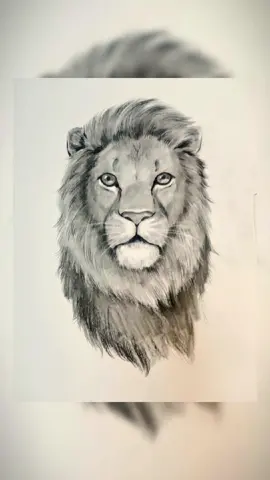 ❤️✏️ How To Draw a Lion | Pencil Drawing #pencildrawing #pencilart #drawing #drawingtutorial #howtodraw #sketch #art #artist #fyp