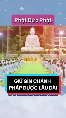 Nguyện học thật kỹ Tứ diệu đế, Bát Chánh đạo để giữ gìn Chánh Pháp được lâu dài #phatphap #thahuonglapnghiep #daophat  #CapCut 