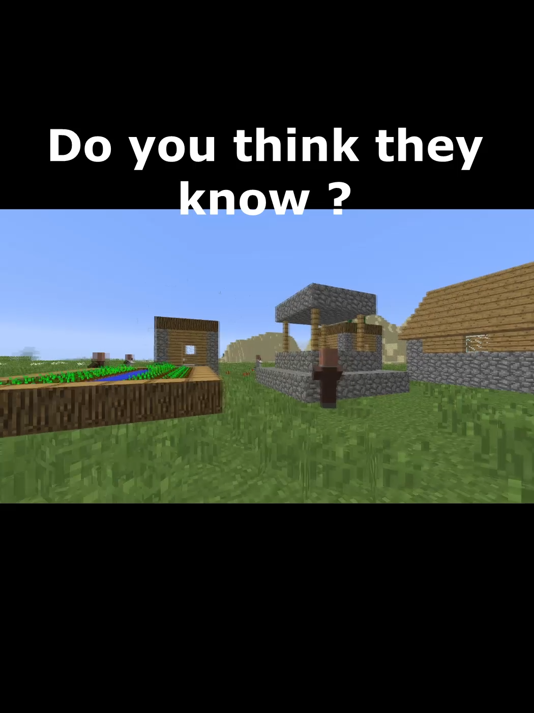 Maybe they know ? #truman #Minecraft #illusions #fakesituation #fyp #funny