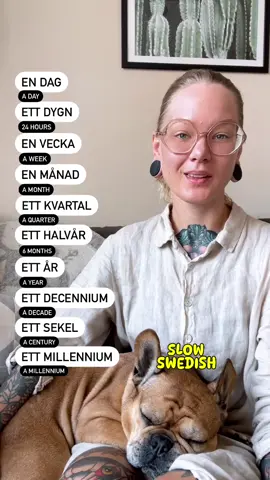 Aprendendo Sueco @slowswedish #tiktok #idiomas #brazil #expressões #sverige #expressões #duolingo #knowledge #skellefteå #foreigner #aprender #language #LearnOnTikTok #speak #swedish #umea 