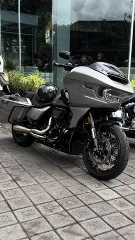 Si Gans with the gangstas 🦍 #fyp #harleydavidson #roadglide 
