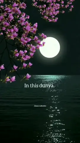 In this dunya 🌛#dunya #allah #islamic_motivation #islamic_video #motivation #foryou #foryoupage #100k #noon #videoviral #500k #fyp #germany🇩🇪 #france🇫🇷 #unitkingdom🇬🇧 @Mufti Menk 