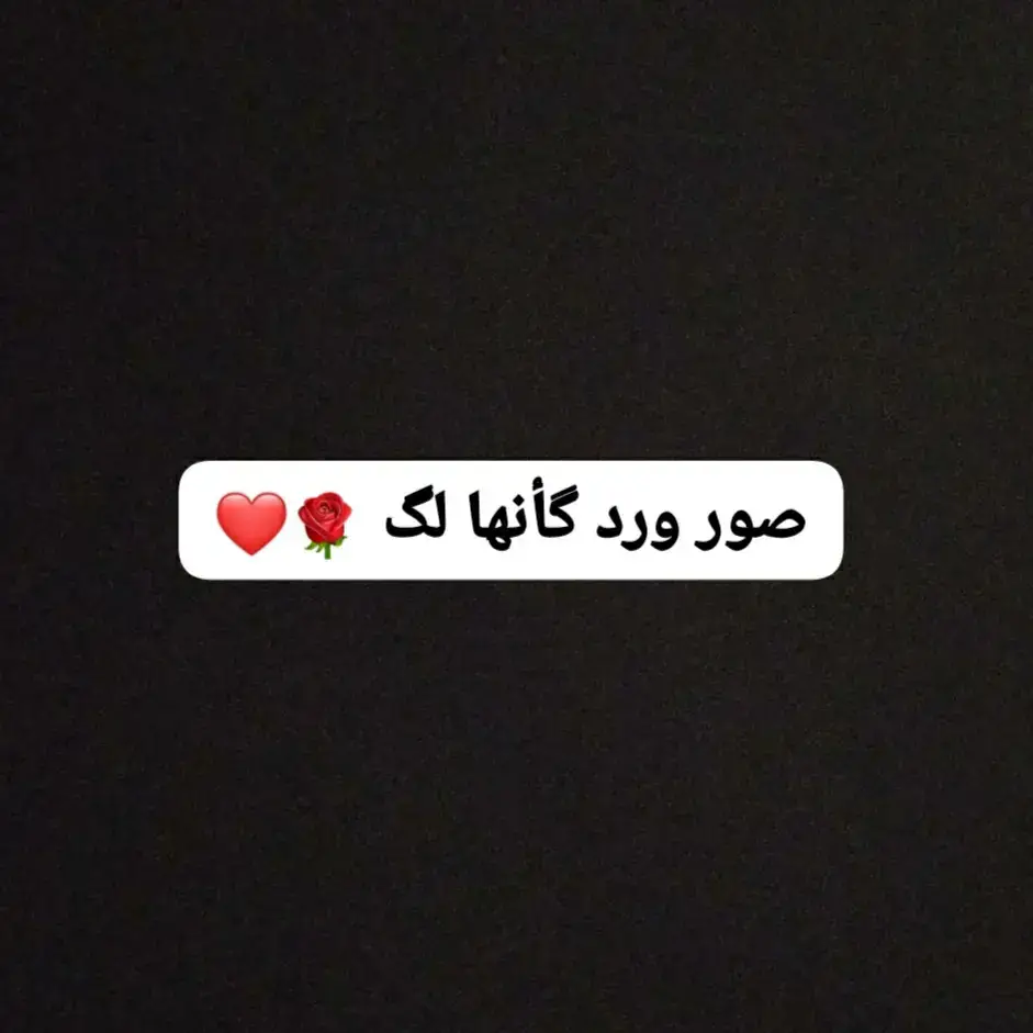 صور_ ورد_ گأنها _ لگ_ 🌹❤️ ماهو نوع وردكْ/ كِ المفضل؟؟؟