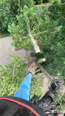 Throwing a tree top next to a house. . . #climb #climbing #climber #heights #vertigo #Outdoors #outside #work #working #chainsaw #chainsaws #carving #wood #woodwork #woodworking #woodcarving #danger #hazard #forest #forestry #view