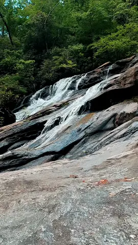 Nature Vibes in Georgia - Holcomb Creek Falls - Clayton  #waterfall #waterfalls #nature #naturevibes #naturelove #naturelover #naturelovers #calming #positivevibe #peaceful #goodvibes #longwaydown #forest #forestvibes #photography #beauty #fyp #takeawalk #explore #trail #Hiking #hike #Outdoors #trails #lovetrails #positivevibes #natureisbeautiful #meditation #aestheticnature #timepass #lostworld #meditate #trailspinexplorer 